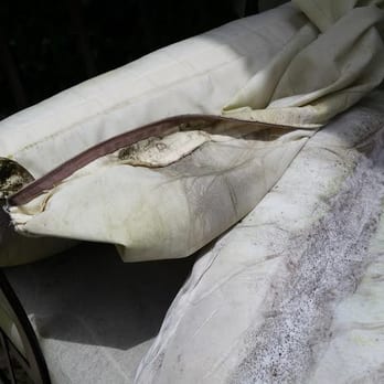 West Boca Upholstery - He charged us $1,500 for the upholstery which was a scam plus thousands of dollars in losses from throwing away the furniture. - Furniture Reupholstery Near Me - Boca Raton, Florida West Boca Upholstery - He charged us $1,500 for the upholstery which was a scam plus thousands of dollars in losses from throwing away the furniture. - Furniture Reupholstery Near Me - Boca Raton, Florida