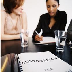 Alyssa A Hogan Enterprise - Save time by having a professionals write a winning business plan. Affordable Prices.