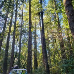 Lost Campers Campervan and Passenger Van Rental