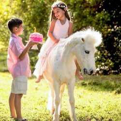 White Pony