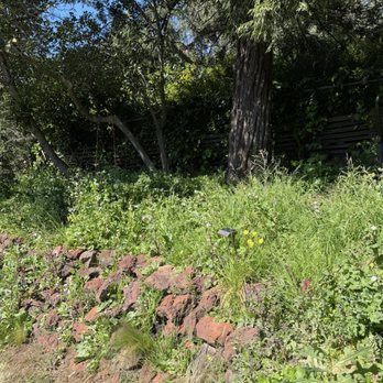 Rosales Landscaping Services - Before - Landscaping Near Me