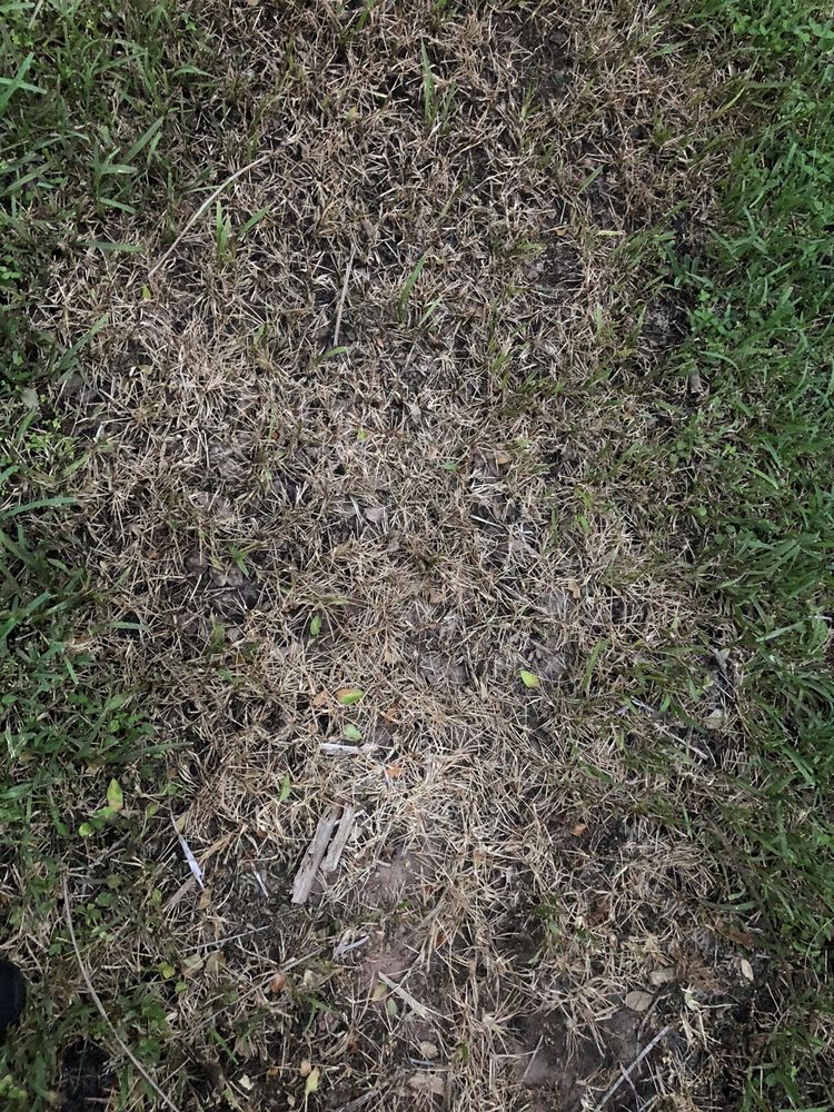 Slide of Fantastic Roof Cleaning