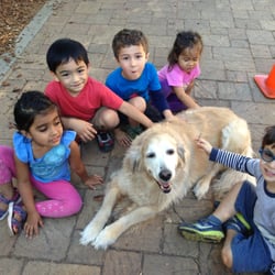 Sunshine Preschool Montessori Program
