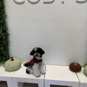 Coby’s Cafe - Themed Cafes Near Me - Seattle, Washington Coby’s Cafe - Themed Cafes Near Me - Seattle, Washington