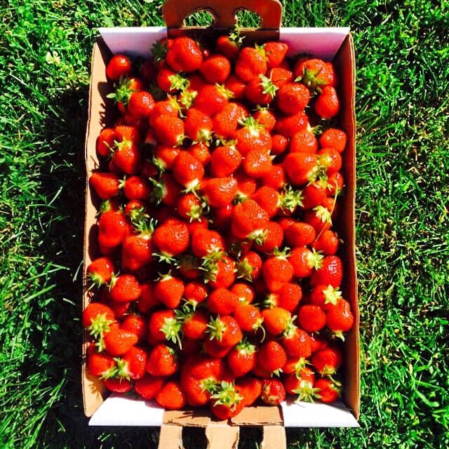 BERRY HILL FARM Updated June 2024 6510 185th Ave NW, Anoka