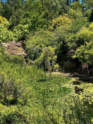 Sonoma Botanical Garden by null