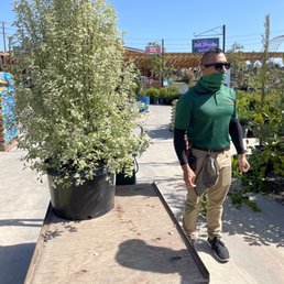 David Armstrong： 615 Jefferson Avenue homogeneous NYC: 615 Jefferson Avenue by David Armstrong