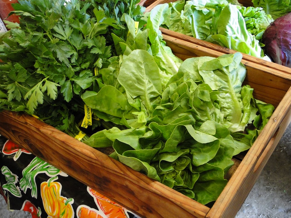 QUETZAL FARM Updated September 2024 14 Photos 2927 Llano Rd, Santa Rosa, California