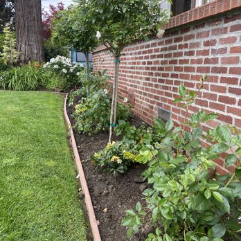 Zarco Gardens Landscaping - Gardeners Near Me - San Mateo, California Zarco Gardens Landscaping - Gardeners Near Me - San Mateo, California