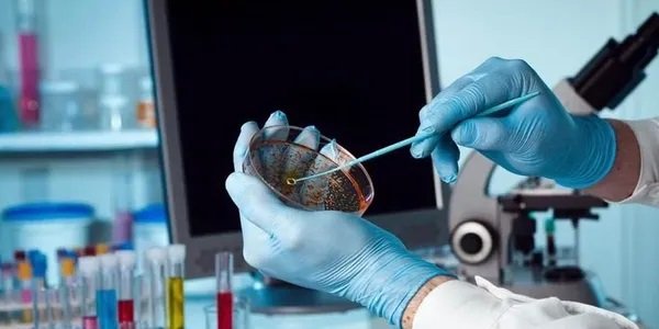 Big Apple Lead - mold inspector in New York, NY