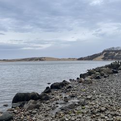 McAllister County Park
