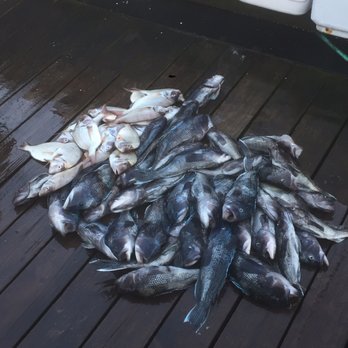 Albacore Charters - Bottom combo trip - Fishing Near Me - Nantucket, Massachusetts