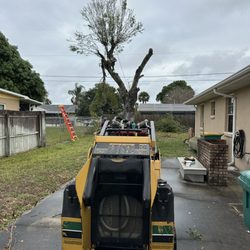 Sanchez Trimming Tree Service - Mario Sánchez offers full tree service 
He's the owner sanchez  service for a long time 
Call Mario any time 3215075811