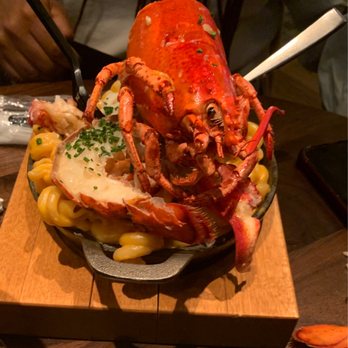 Yardbird - Lovely presentation - New American Near Me - Washington, DC, District of Columbia