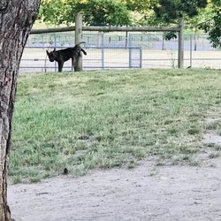 Roegner Park