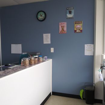 Paw-sitively Swaggin - Pet Groomers Near Me - Killeen, Texas Paw-sitively Swaggin - Pet Groomers Near Me - Killeen, Texas