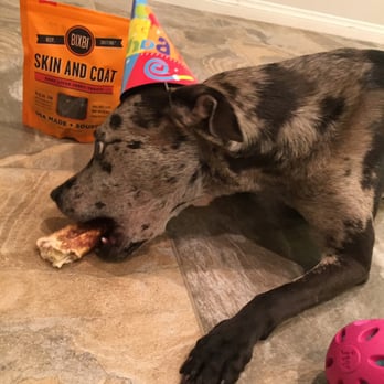 Pet Food Express - Birthday treats, chew, and toy! - Pet Stores Near Me - Oxnard, California