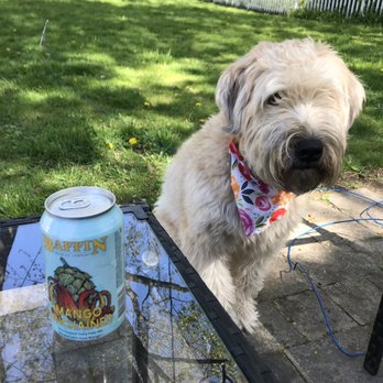 Baffin Brewing Company - Nothing better than hanging with my best friends(wife was there too!) and drinking a Baffin. - Breweries Near Me - Saint Clair Shores, Michigan
