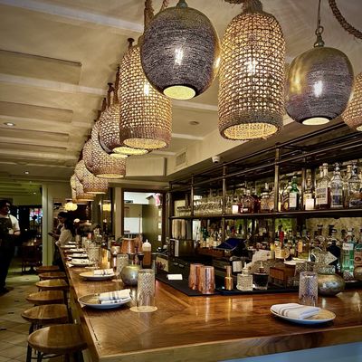 Leyla by null Leyla by null