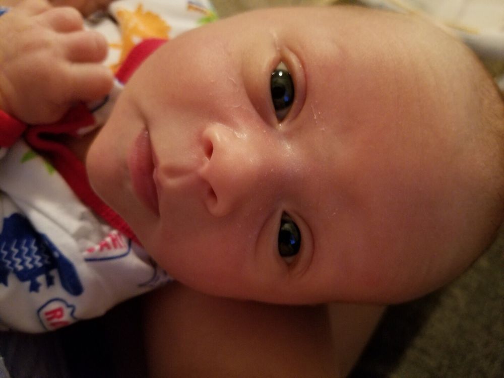 tech terry under armour