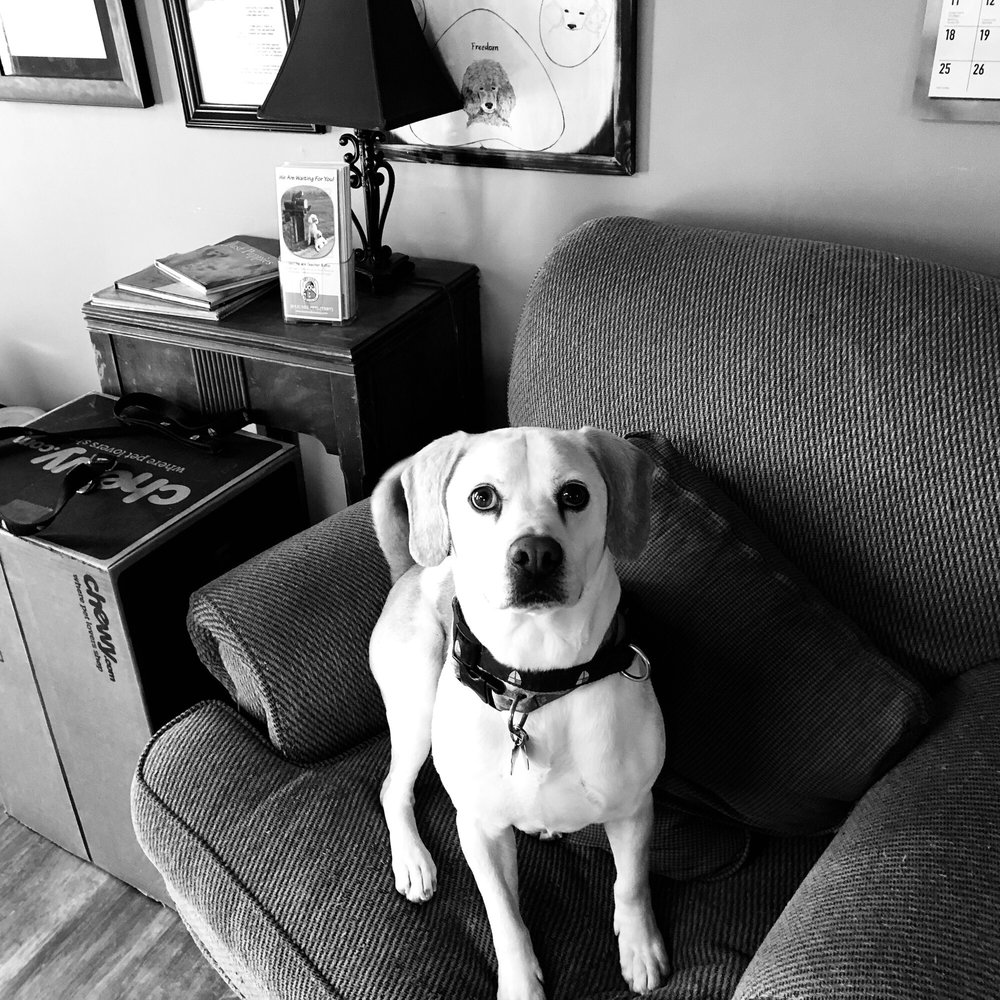 BED & BONE TOO Updated September 2024 22 Photos 1255 22nd St SW