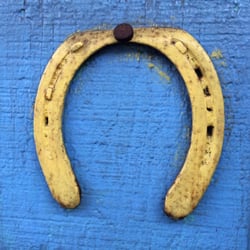 Horseshoe beside the outdoor counter.