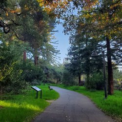 Trail