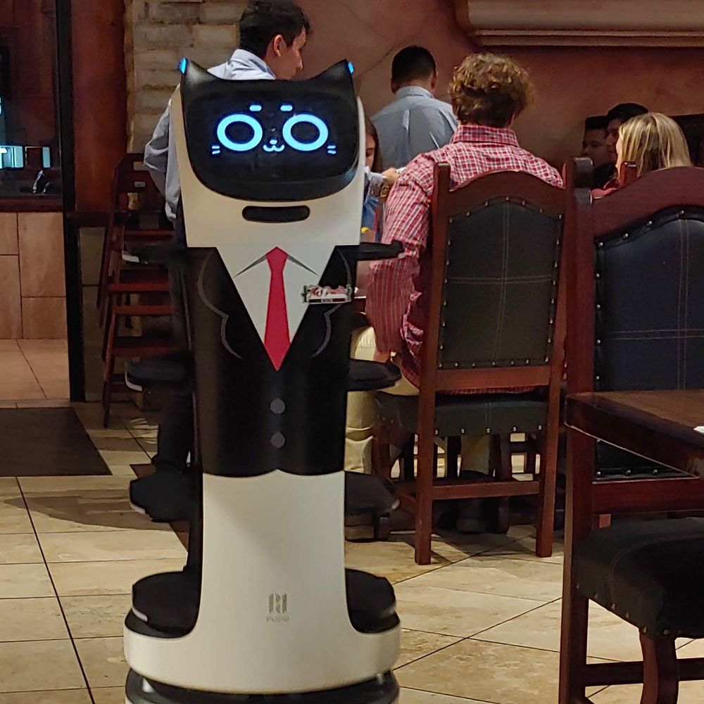 Mi Pueblo - Robot waiter assistant food server - Tex-Mex Near Me - Corinth, Mississippi Mi Pueblo - Robot waiter assistant food server - Tex-Mex Near Me - Corinth, Mississippi