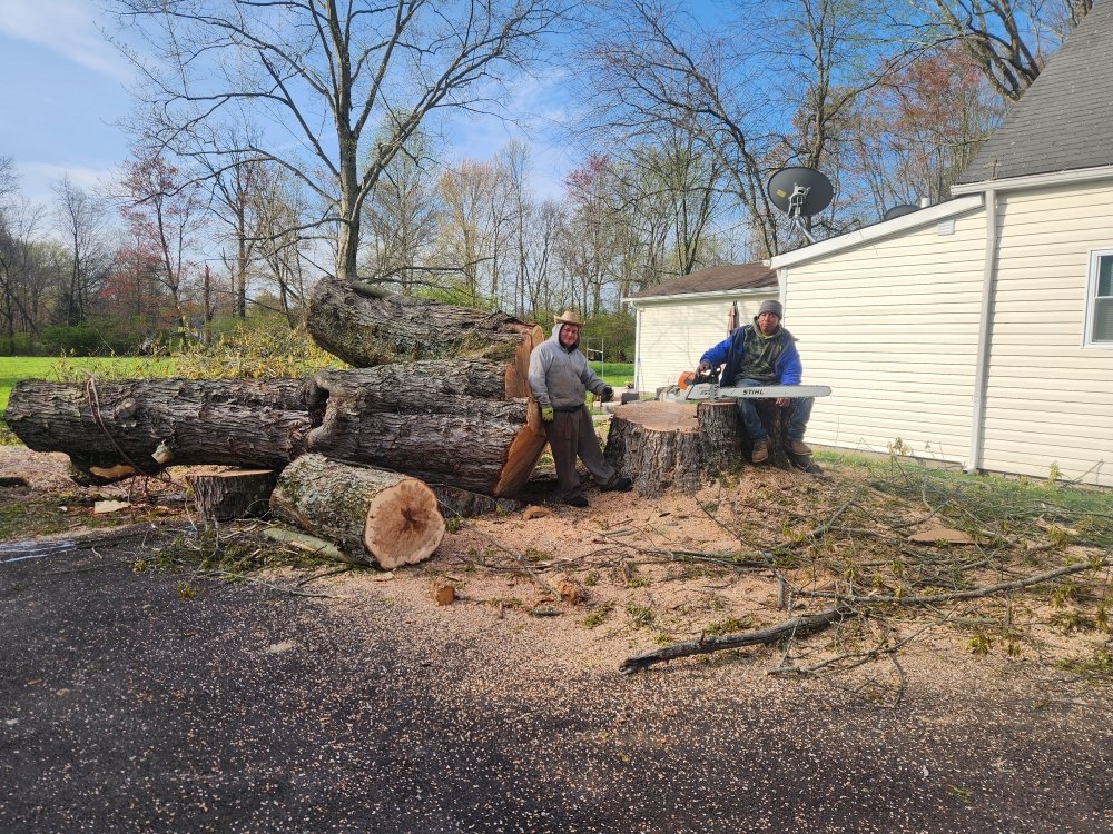 Vasquez Tree service & landscaping - tree service in Cincinnati, OH