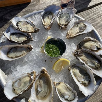 Hog Island Oyster - Fresh Oysters - Seafood Near Me - Marshall, California Hog Island Oyster - Fresh Oysters - Seafood Near Me - Marshall, California
