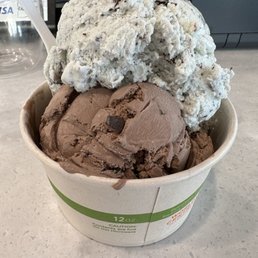 Mint Chocolate Chip Ice Cream
