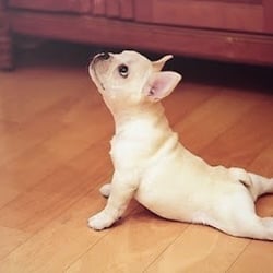 Yoga Reiki Unity