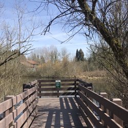 Bridge to overlook the pond