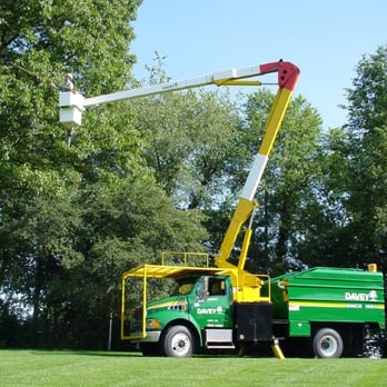 The Davey Tree Expert Company 23 Photos Tree Services 7085 Shady Oak Rd Eden Prairie Mn Phone Number
