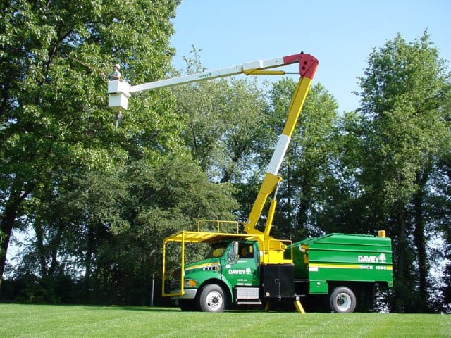 The Davey Tree Expert Company - tree service in Eden Prairie, MN