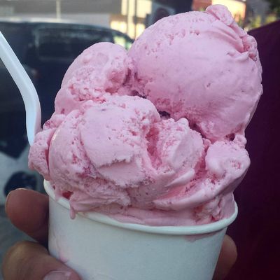 Washtenaw Dairy by null