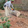 Photo of Gil's Tree Service & Lawn Care