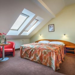 Hotel Seifert - Double room