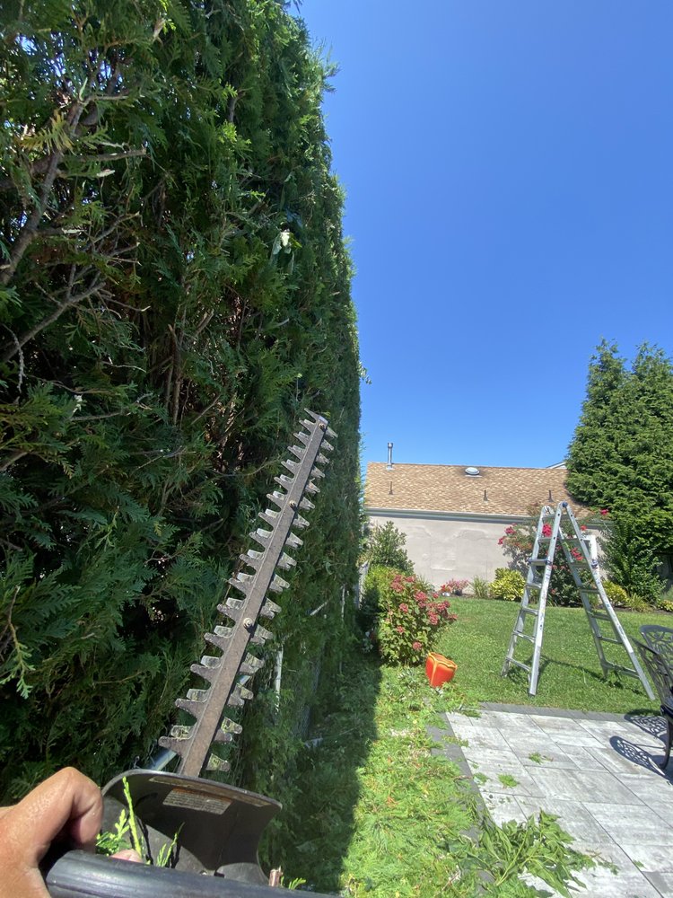 Slide of Sandoval Remodeling