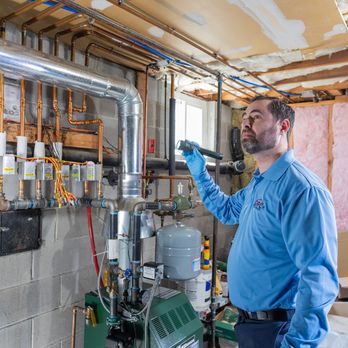 OPC Pest Services - Pest Control Near Me - Louisville, Kentucky OPC Pest Services - Pest Control Near Me - Louisville, Kentucky