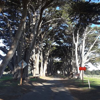 Cypress Tree Tunnel - Parks Near Me - Inverness, California Cypress Tree Tunnel - Parks Near Me - Inverness, California