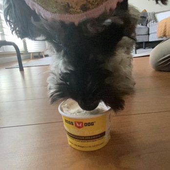 The Dog Bakery - Doggie ice cream-banana and peanut butter - Pet Stores Near Me - Pasadena, California