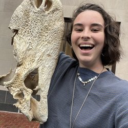 Evens&Oddities - Absolute chonk of an alligator skull that I got here!