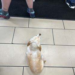 7-Eleven - Yes, We all wait in line