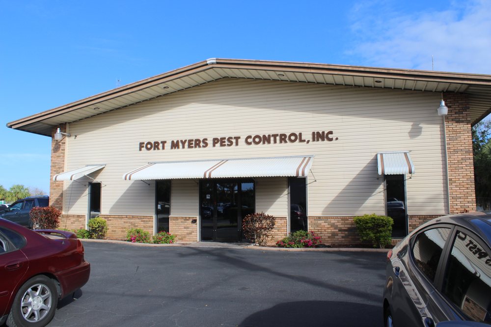 FORT MYERS PEST CONTROL Updated September 2024 14 Photos 7987
