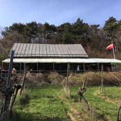 Gumpoldskirchner Veigl-Hütte