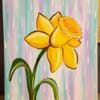 Art Studio 27 gift card