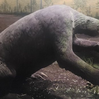 Cincinnati Museum Center at Union Terminal - Giant Sloth - Venues & Event Spaces Near Me - Cincinnati, Ohio