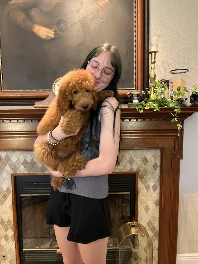 GOLD COAST KENNELS Updated August 2024 26 Photos Houston, Texas