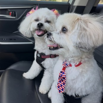 Pet Evolution - Pet Groomers Near Me - Cooper City, Florida